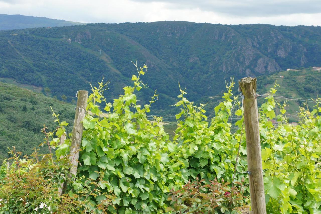Apartment O Muino Casa Ferrador Ribeira Sacra